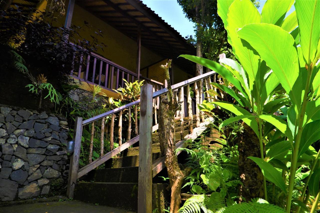 Swar Bali Lodge Munduk Exteriör bild